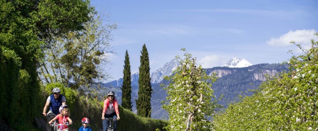 Bici, fioriture e vino per la primavera in Alto Adige